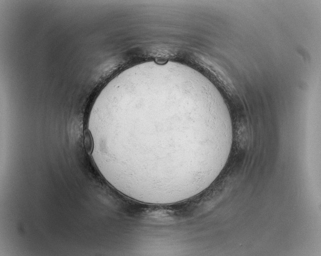 X0000116660407201001041114