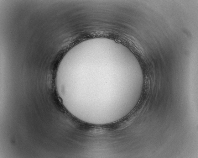 X0000116660416201001041114