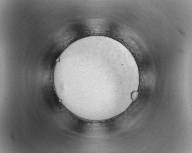 X0000116660419201001041114