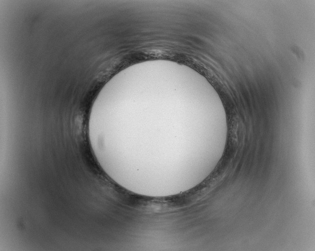 X0000116660420201001041114