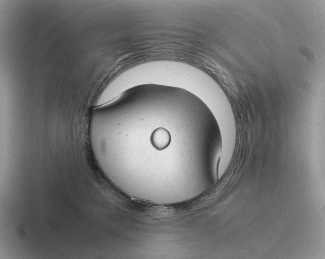 X0000116660421201001041114