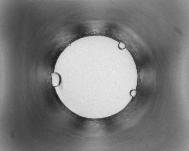 X0000116660423201001041113