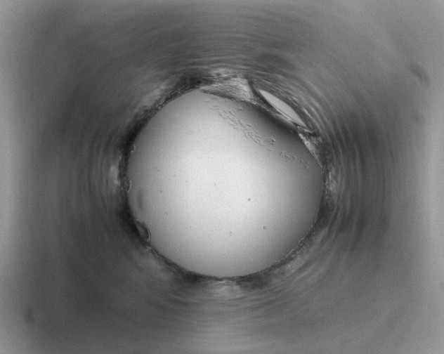 X0000116660424201001041113