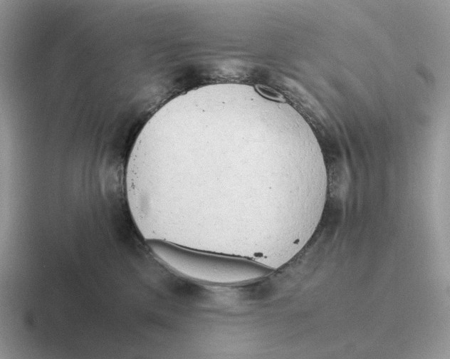 X0000116660425201001041113