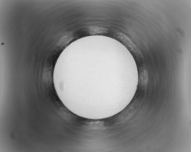 X0000116660426201001041113