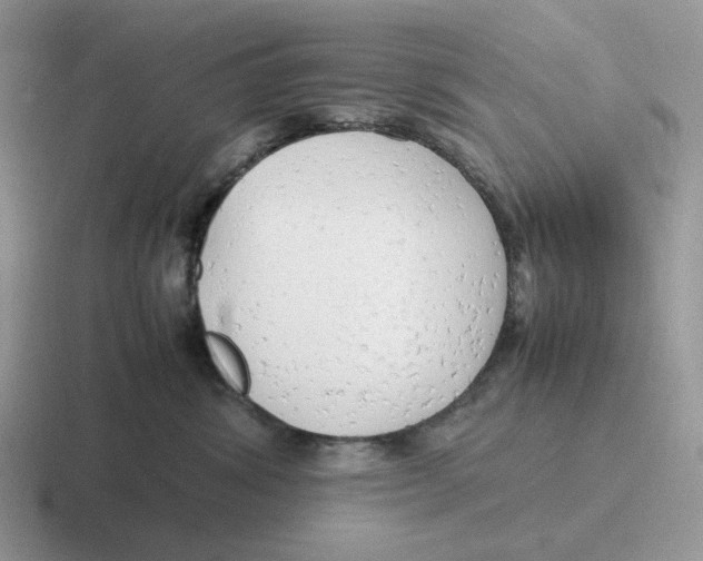 X0000116660428201001041113