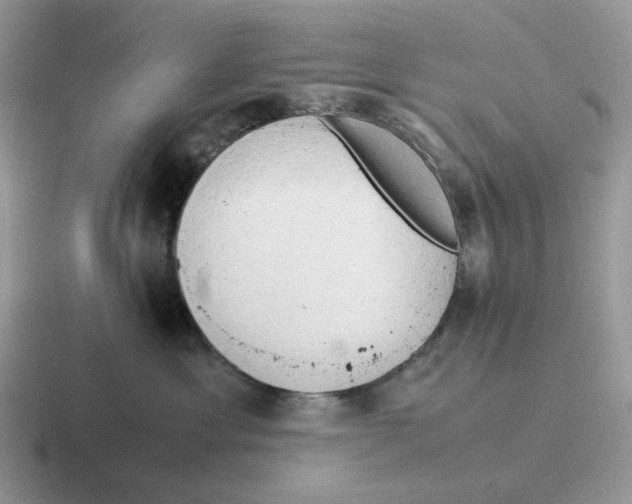 X0000116660429201001041113