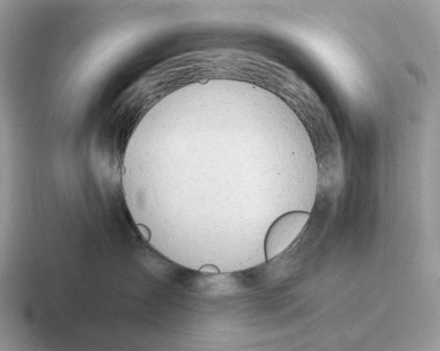 X0000116660431201001041113