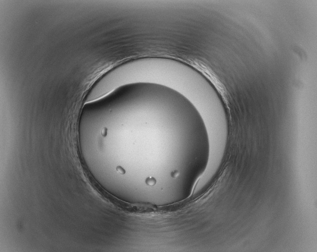 X0000116660433201001041113