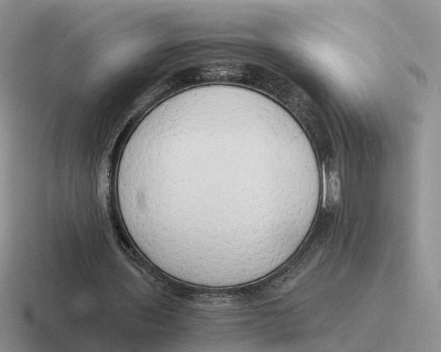 X0000116660435201001041113