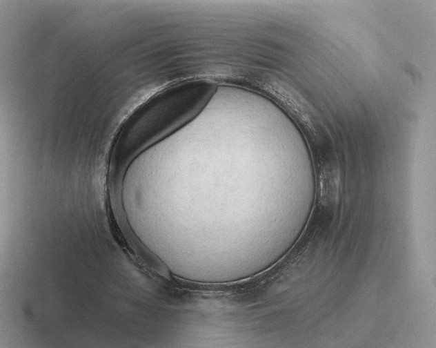 X0000116660436201001041113