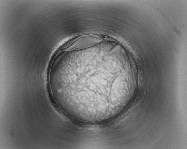 X0000116660438201001041113