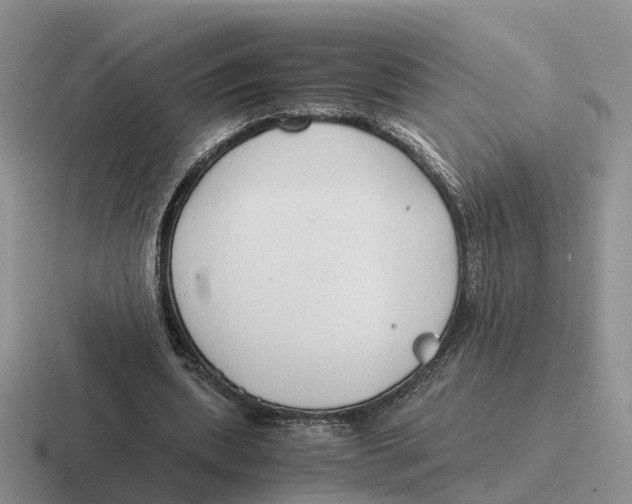 X0000116660439201001041113