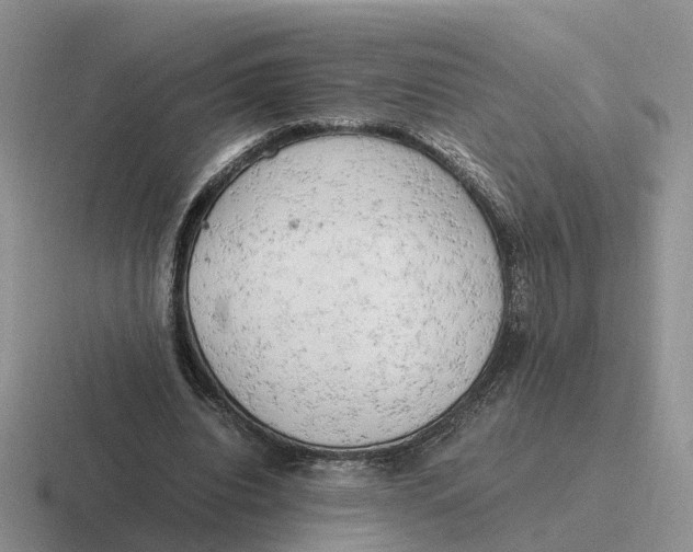 X0000116660440201001041113