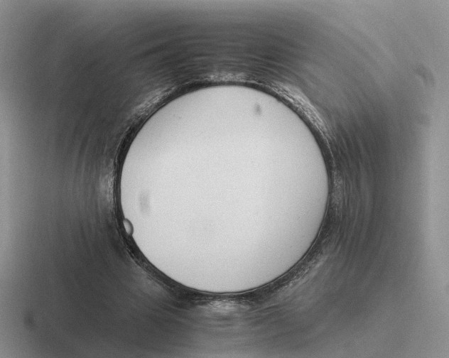 X0000116660441201001041113