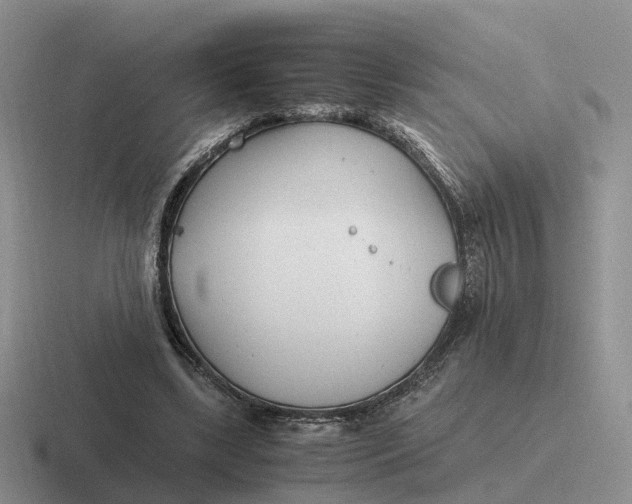 X0000116660443201001041113