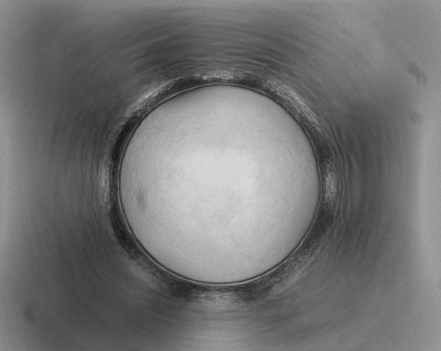 X0000116660444201001041113