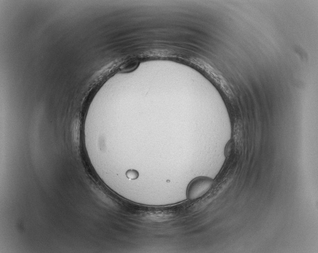 X0000116660445201001041113