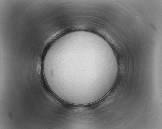 X0000116660446201001041113