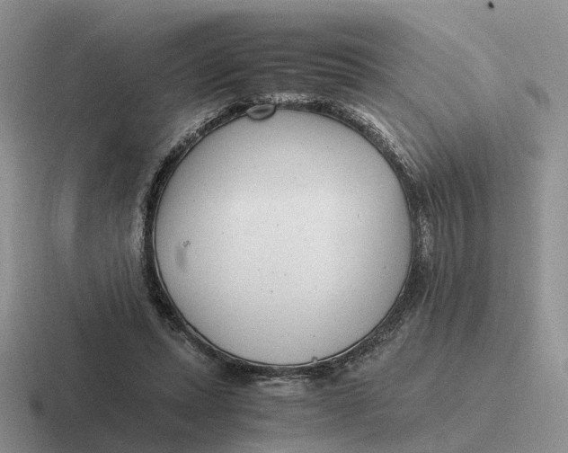 X0000116660447201001041113