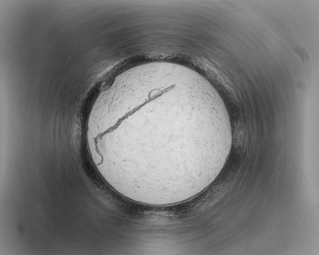 X0000116660448201001041113