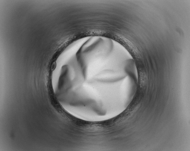 X0000116660451201001041113