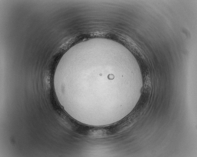 X0000116660452201001041113