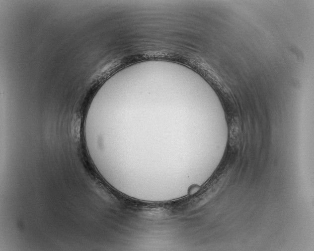 X0000116660454201001041113