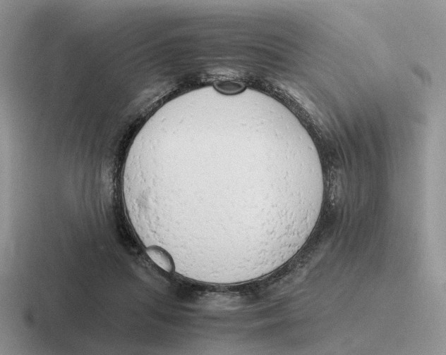 X0000116660455201001041113