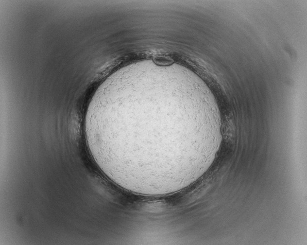 X0000116660456201001041113