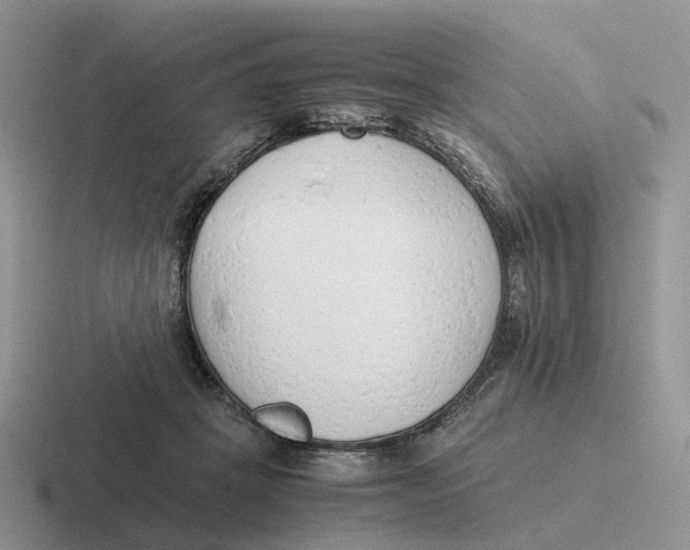 X0000116660457201001041113