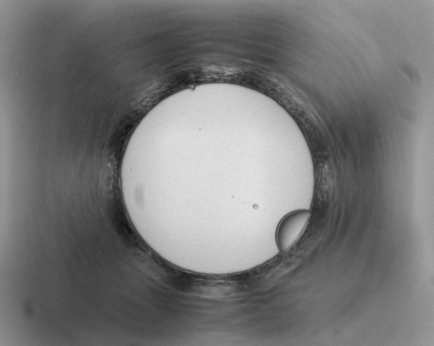 X0000116660463201001041113