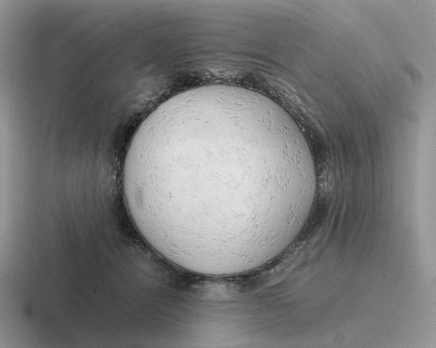 X0000116660464201001041113