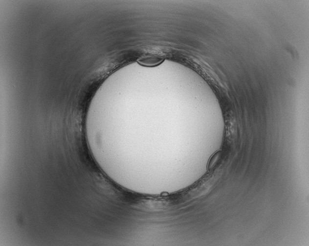 X0000116660466201001041113