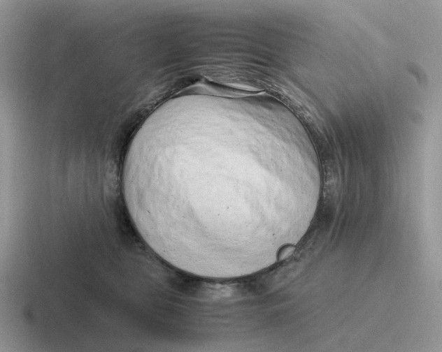 X0000116660469201001041113