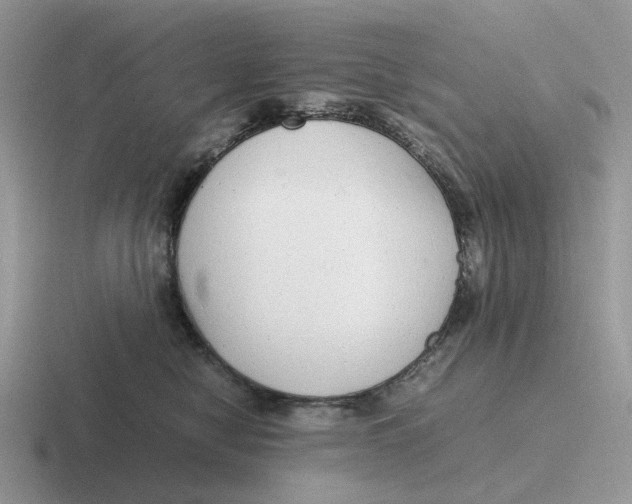 X0000116660470201001041113