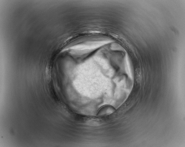 X0000116660471201001041113