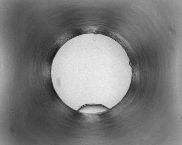 X0000116660477201001041113