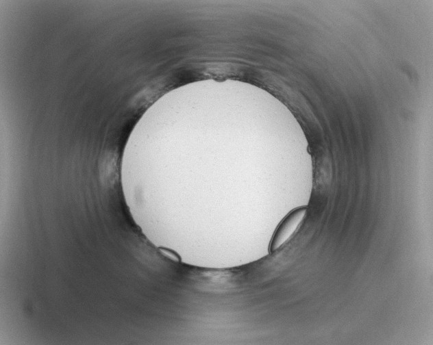 X0000116660478201001041113