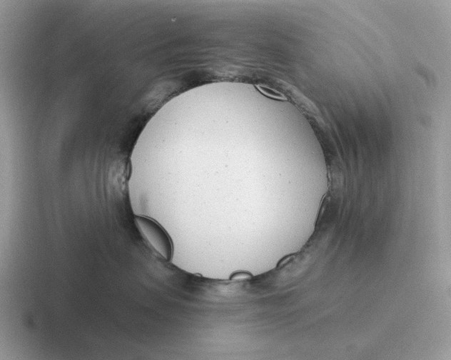 X0000116660479201001041113