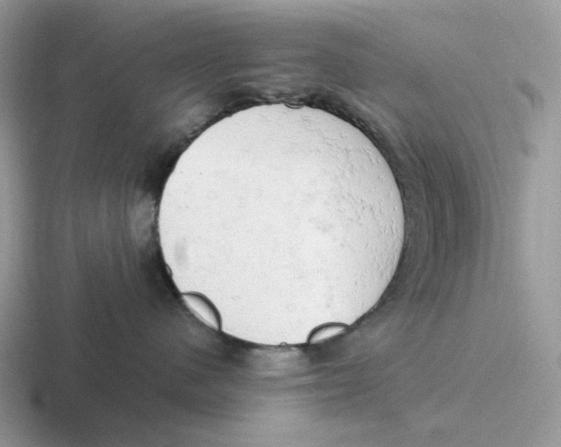 X0000116660480201001041113