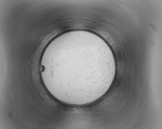 X0000116660481201001041113