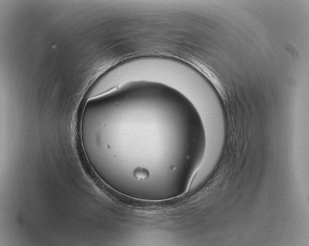 X0000116660485201001041113