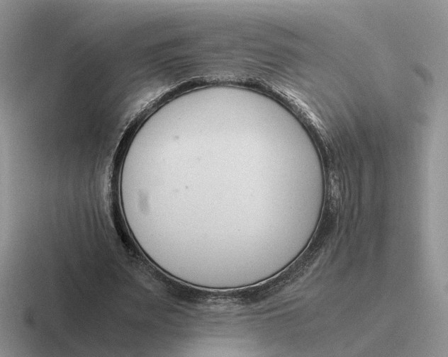 X0000116660487201001041113