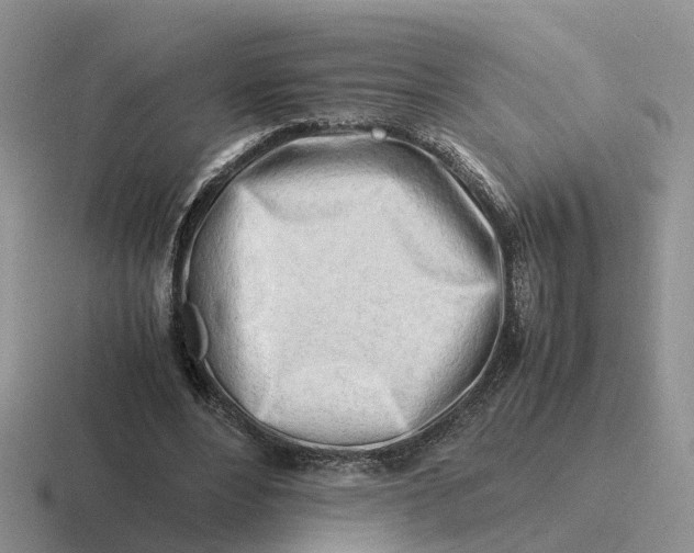 X0000116660488201001041113