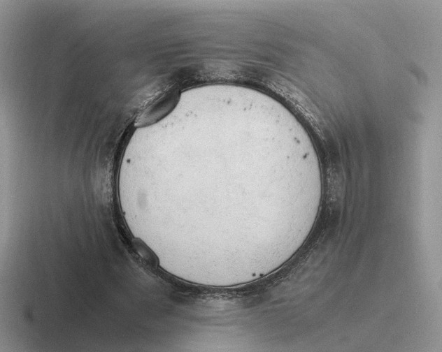 X0000116660489201001041113