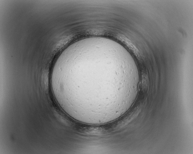 X0000116660493201001041113