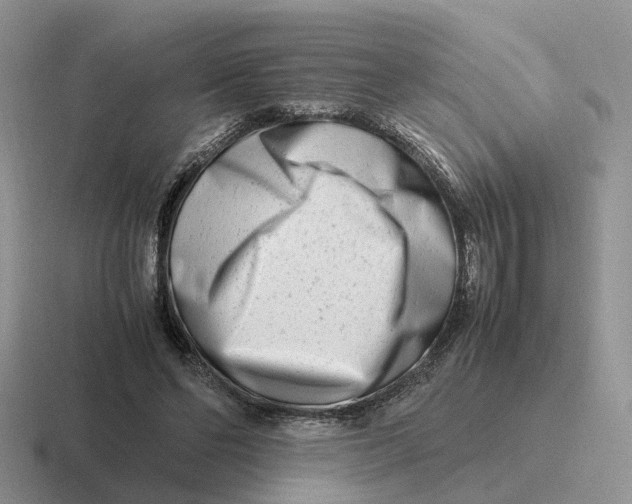 X0000116660494201001041113