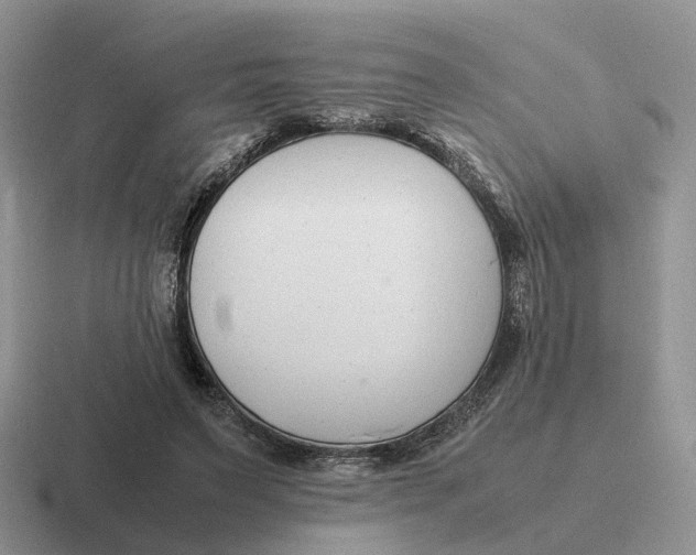 X0000116660495201001041113