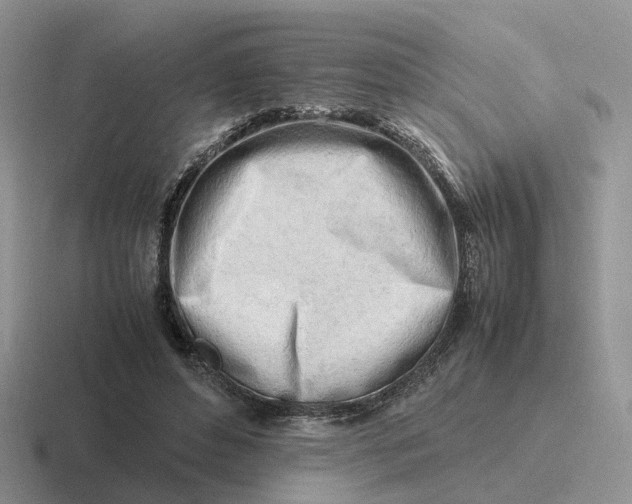 X0000116660496201001041113